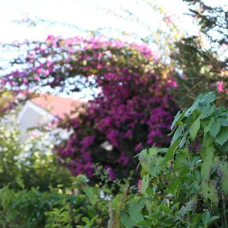 Holiday home Promontorio De Canido